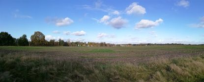 Soll hier ein neues Baugebiet entstehen oder nicht? Im Stadtrat gehen die Meinungen auseinander.  Foto: lst
