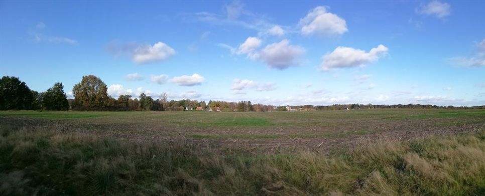 Soll hier ein neues Baugebiet entstehen oder nicht? Im Stadtrat gehen die Meinungen auseinander.  Foto: lst