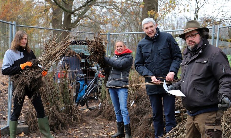 Alle Hände voll zu tun: Rund 8350 Sträucher werden im Baubetriebshof der Stadt sortiert. Auf dem Foto (von links): Jan Birmele, Jacqueline Meyerdierks, Torsten Rohde und Frieder Lüße.  Foto: Stadt OHZ