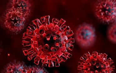 119 Neuinfektion mit dem Coronavirus gab es im Landkreis Osterholz in der letzten Woche. Foto: AdobeStock/Romolo Tavani