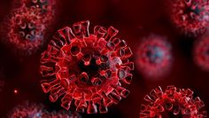 119 Neuinfektion mit dem Coronavirus gab es im Landkreis Osterholz in der letzten Woche. Foto: AdobeStock/Romolo Tavani