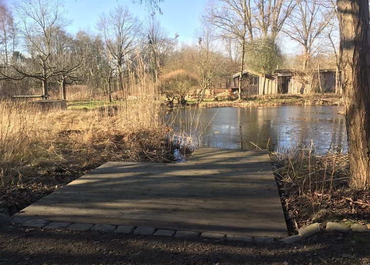 Die Beobachungsplattform der neuen Libellenforschungsstation.  Foto: Dr. Maren Meyer-Grünefeldt