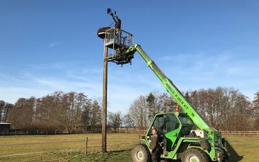 Das Storchennest wurde kürzlich für die nächste Brutsaison gesäubert.  Foto: Hans-Helmut Pein