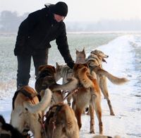 Francesca Renken hatte eine tolle Fahrt auf dem Husky-Cart.  Fotos: eb