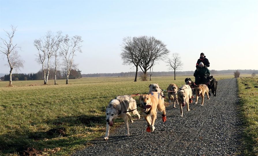 Francesca Renken hatte eine tolle Fahrt auf dem Husky-Cart.  Fotos: eb