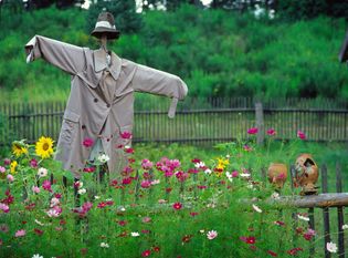 Bild: adobestock/maciej