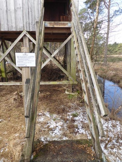 Wer macht denn so was? Am Beobachtungsturm fehlen alle 13 Stufen.