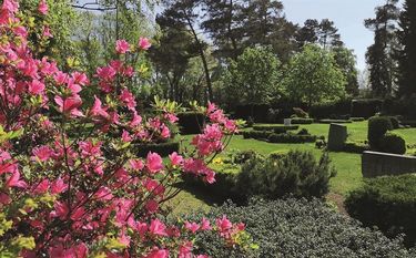 Nachhaltigkeit und Umweltbewusstsein - auch im Bestattungswesen. Foto: Elke Herrnberger/BDB/akz-o
