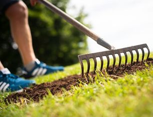 Alles für einen saftig-grünen Teppich: Frühjahr und Herbst sind gute Zeitpunkte, um Rasenflächen zu vertikutieren. Foto: djd/Floragard