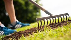 Alles für einen saftig-grünen Teppich: Frühjahr und Herbst sind gute Zeitpunkte, um Rasenflächen zu vertikutieren. Foto: djd/Floragard