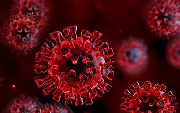 Niedersachsen verlänger die aktuelle Corona-Verordnung bis zum 9. Mai. Foto: AdobeStock/Romolo Tavani