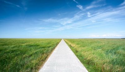 Sinnbild für den Niedersächsischen Weg? Foto: Adobe Stock/eyetronic