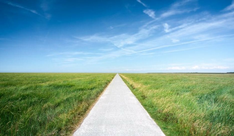 Sinnbild für den Niedersächsischen Weg? Foto: Adobe Stock/eyetronic