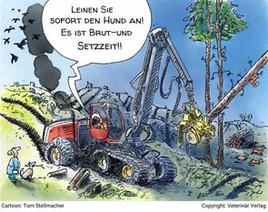 Holzeinschlag während der Brut- und Setzzeit im Kuhstedter Wald.