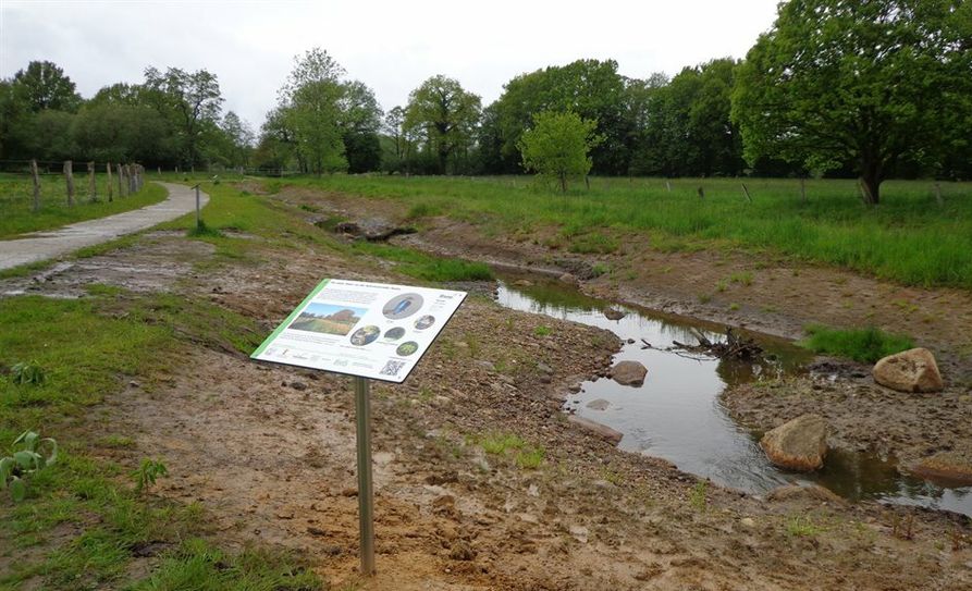 Hier wurden Bergenien, Flieder und ähnliche exotische Zierpflanzen gesetzt, die hier nicht heimisch und entsprechend für heimische Tierarten nutzlos sind.