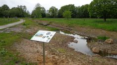 Hier wurden Bergenien, Flieder und ähnliche exotische Zierpflanzen gesetzt, die hier nicht heimisch und entsprechend für heimische Tierarten nutzlos sind.