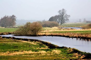 „Ich kann verstehen, dass viele Landwirte erst mal verhalten sind, wenn sie Begriffe wie ‚Naturpark‘ hören“, sagt Volker Kullik, Mitglied des Fördervereins Naturpark Teufelsmoor. Bei einem Infotermin bemühte sich der Verein, die Bedenken auszuräumen.