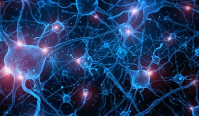 In den neuronalen Netzen des Gehirns liegt das Problem, warum manche Menschen keine Bilder im Kopf erzeugen können. Die Ursache ist bislang ungeklärt. - Am 16. August ist Tag der Aphantasie.