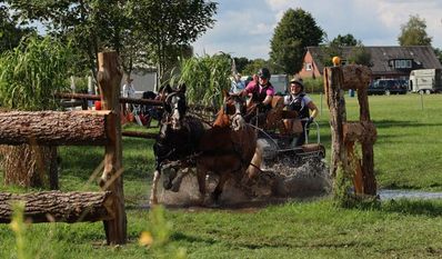 Geschicklichkeit wird beim Hindernisfahren groß geschrieben.