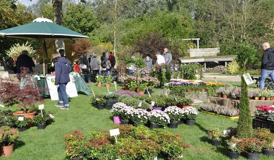 Allerlei zu bestaunen gibt es am 2. und 3. Oktober im Park der Gärten.