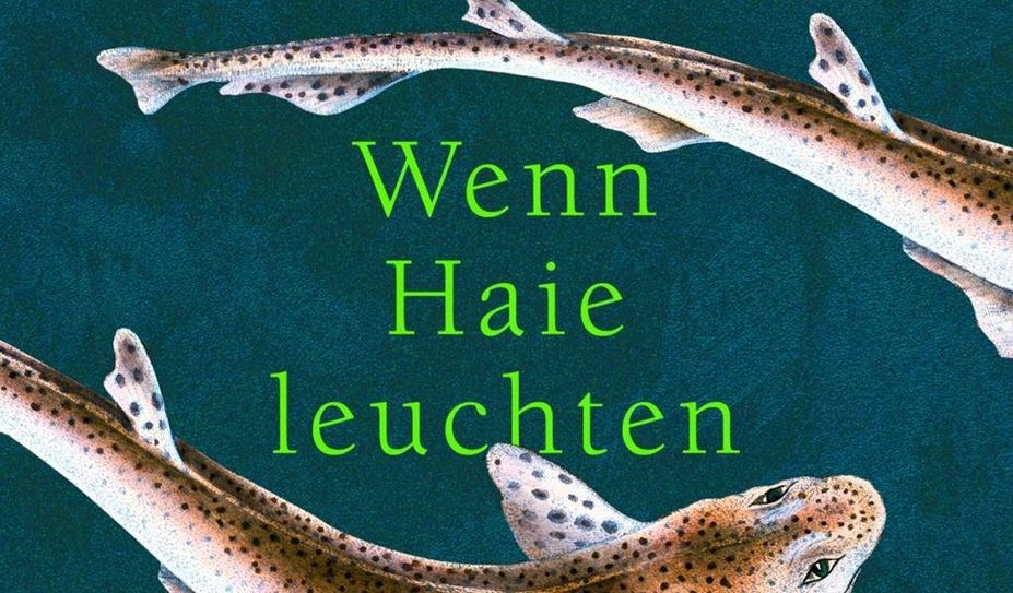 Das Buch ist im Verlag hanserblau erschienen und für 18 Euro erhältlich.