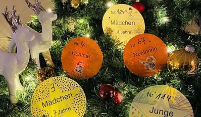 Diese Sterntaler können gepflückt werden, ob Kindern und Rentner:innen eine Freude zu bereiten.