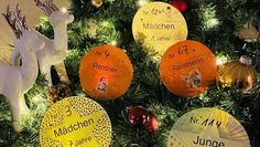 Diese Sterntaler können gepflückt werden, ob Kindern und Rentner:innen eine Freude zu bereiten.