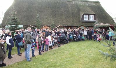 Dieses Jahr schmücken Kinder vom Regenbogenkindergarten den Weihnachtsbaum.