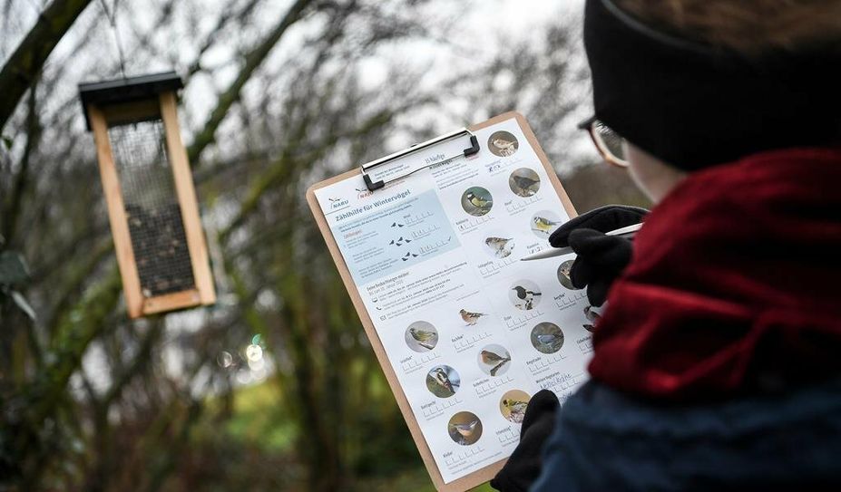 Immer mehr Menschen beteiligen sich an der Vogelzähl-Aktion des NABU.