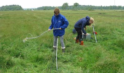 FÖJler helfen beim Einzäunen von Wiesenvögeln.