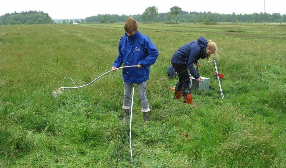 FÖJler helfen beim Einzäunen von Wiesenvögeln.