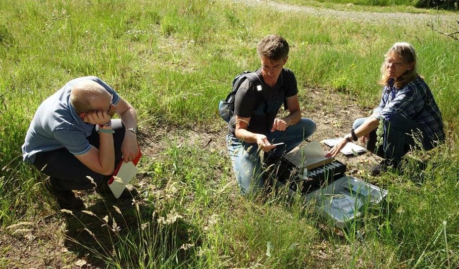 Teilnehmende entdecken die Natur an der Schwaneweder Beeke.