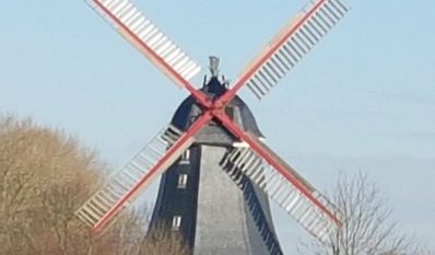 Rund um die Aschwardener Windmühle findet am 1. Mai wieder das traditionelle Mühlenfest statt. Foto: eb