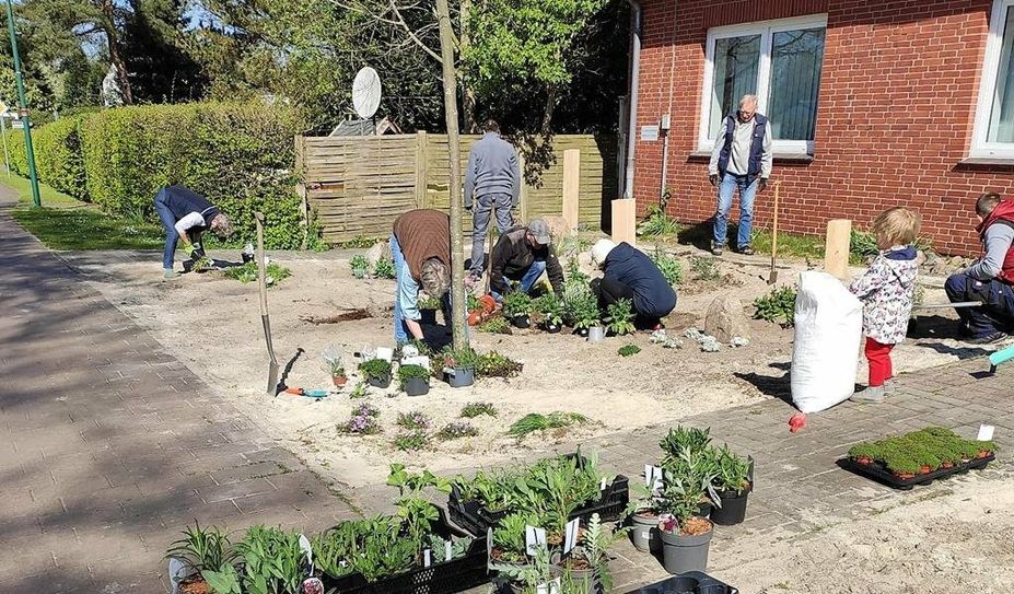 Der Vorgarten am Stubbener Dorfzentrum soll eine Tankstelle für Insekten werden.