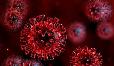 Foto: AdobeStock/Romolo Tavani