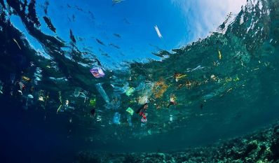 Das Mittelmeer gehört zu den Meeresgebieten mit der größten Plastikverschmutzung weltweit. Auf dem Boden der Nordsee wurden beispielsweise 11 Kilogramm Müll pro Quadratkilometer ermittelt, hauptsächlich Plastik.