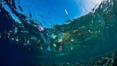 Das Mittelmeer gehört zu den Meeresgebieten mit der größten Plastikverschmutzung weltweit. Auf dem Boden der Nordsee wurden beispielsweise 11 Kilogramm Müll pro Quadratkilometer ermittelt, hauptsächlich Plastik.