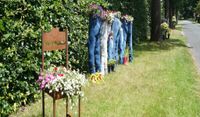 Bunte Blumen heißen die Besucher:innen an der Rosenstraße Willkommen
