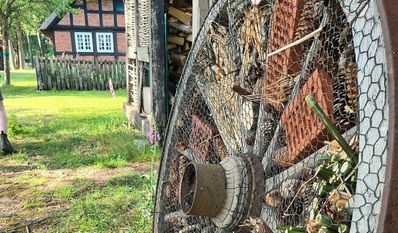 Hier können ab sofort Insekten einchecken.