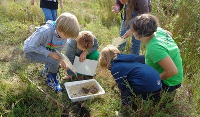 Am Freitag, 12. August lädt der BUND Kinder und Eltern zum Familientag an der Schwaneweder Beeke ein. Foto: Bernd Quellmalz