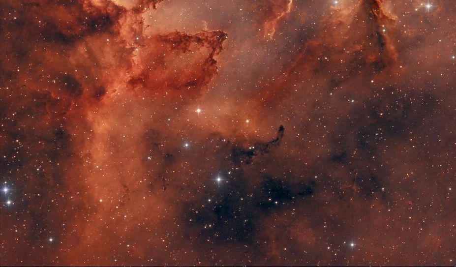 Das Zentrum des Herznebels in einem der Spiralarme der Milchstraße. Foto: Gerald Willems