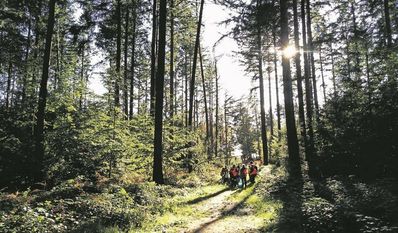 Bei der Waldralley bekamen die Kinder die Möglichkeit, die Vielfalt der Natur kennenzulernen.