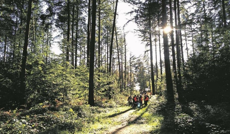 Bei der Waldralley bekamen die Kinder die Möglichkeit, die Vielfalt der Natur kennenzulernen.