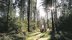 Bei der Waldralley bekamen die Kinder die Möglichkeit, die Vielfalt der Natur kennenzulernen.