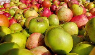 Bewohner von Selsingen können ihre Äpfel abgeben und einen Tag später frischen Apfelsaft probieren.