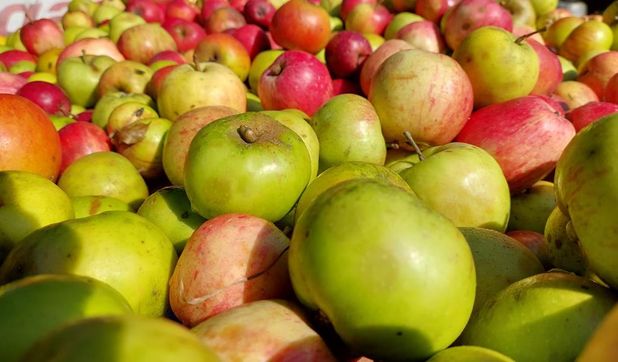 Bewohner von Selsingen können ihre Äpfel abgeben und einen Tag später frischen Apfelsaft probieren.
