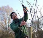 Torsten Brunkhorst erklärt, wie die Bäume fachmännisch geschnitten werden.
