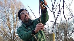 Torsten Brunkhorst erklärt, wie die Bäume fachmännisch geschnitten werden.