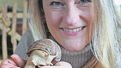 Birthe Schlichter mit einer ihrer Achatschnecken. Ihr Exemplar ist ein Albino.