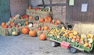 Auf dem Hof von Rita Möller und ihrem Mann Dieter werden Kartoffeln und Kürbisse angepflanzt.